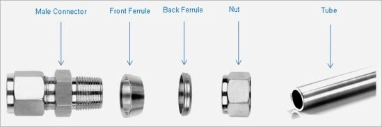 Ferrule